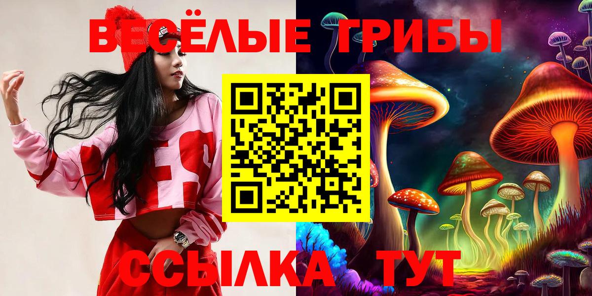 Псилоцибиновые грибы мухоморы Елизово