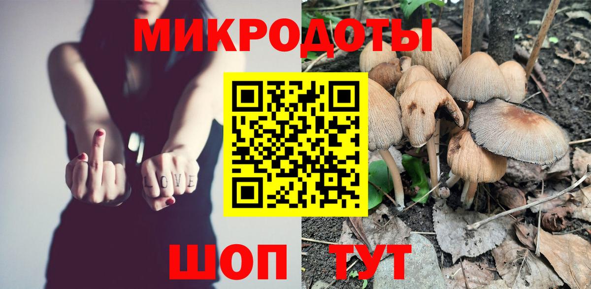 Псилоцибиновые грибы MAGIC MUSHROOMS  Вход с VPN  Елизово 