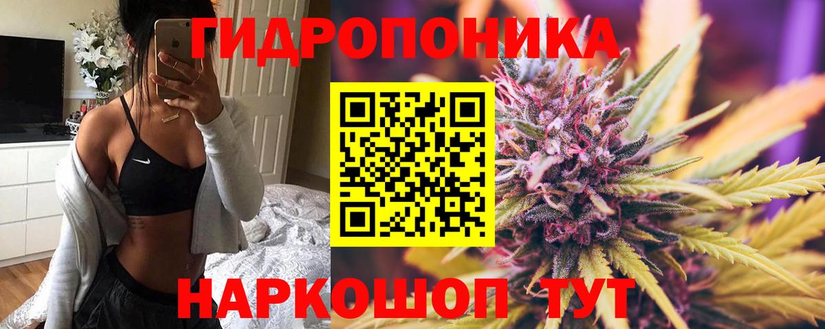 Марихуана OG Kush  Бошки Шишки тримм  Елизово  Конопля MAZAR  Вход с VPN 